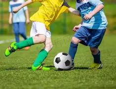 克林斯曼看,好小因扎吉,欧冠征程,BBIN,BBIN平台,在线博彩,BBIN老虎机,真人娱乐,电子游戏平台,BBIN官网