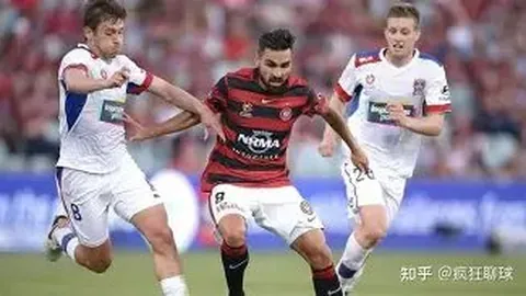 2025女子世界杯：尼日利亚队简介