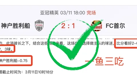 第2026072期 大乐透2026072期汪桂枝预测推荐及质